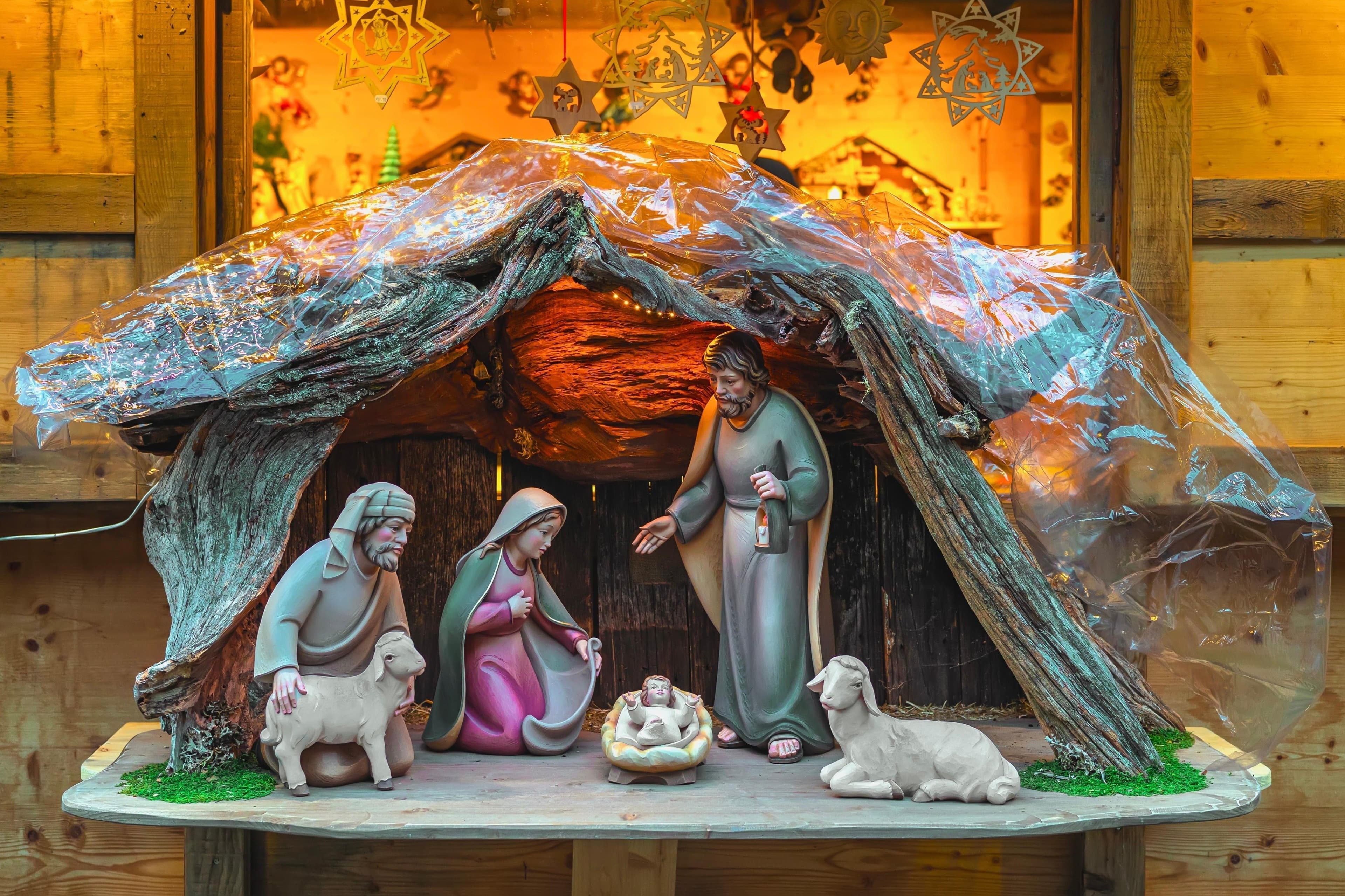 Project Spreading Holiday Cheer with Thapa Garage Doors image