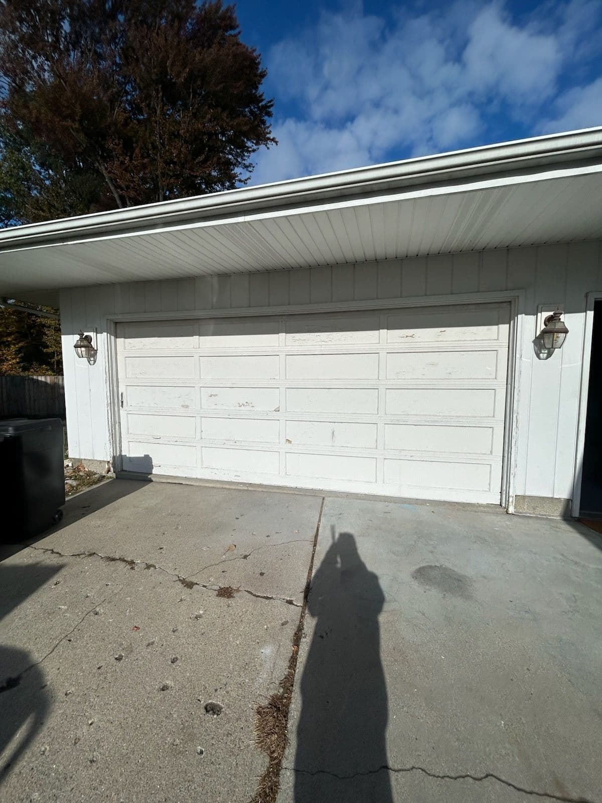 Project Garage Door Makeover in Action image